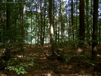 Naturschutzgebiet Löcknitztal