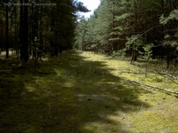Driftweg Kageler Wald- und Feldmark
