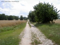 Grüntal Melchower Weg