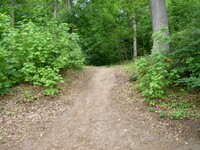 Strausseefähre Waldseite Hansmannweg