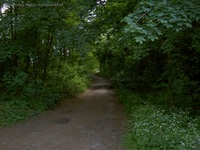 Bernauer Klosterfelder Weg