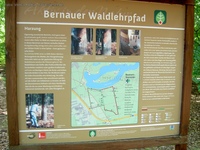 Infotafel Bernauer Waldlehrpfad Liepnitzsee Naturpark Barnim
