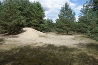 Sandgrube Strausberg