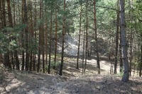 Sandgrube Strausberg Abbau-Grube