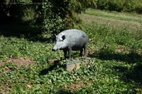 Strausberg Skulptur Wildschwein