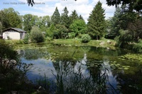 Hönow Haussee Teich
