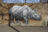 Graffiti Tierpark Berlin Nashorn