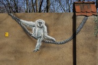 Graffiti Tierpark Berlin Gibbon