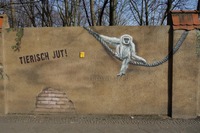 Graffiti Tierpark Berlin Gibbon
