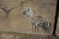 Graffiti Tierpark Berlin Hyäne