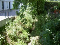 Karlshorst Rennbahngraben