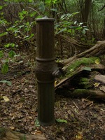 Plänterwald Wasserpumpe