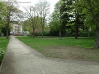 Rheinsteinpark große Wiese