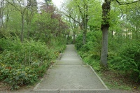 Rheinsteinpark Weg Treppenstufen