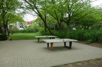 Rheinsteinpark Tischtennisplatten
