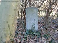 Verwitterter Grabstein auf dem Friedhof Plonzstraße