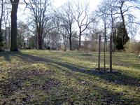 Grünfläche auf dem Friedhof Plonzstraße in Lichtenberg