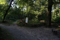 Landschaftspark Herzberge Wegegabelung