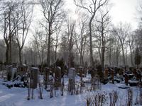 Ostfriedhof München im Winter