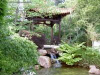 Chinesischer Garten im Westpark München