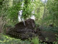 Heidekampgraben im Treptower Park