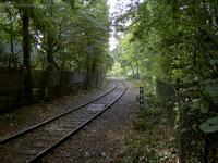 Neukölln-Mittenwalder Eisenbahn im Rudower Vogelschutzwäldchen