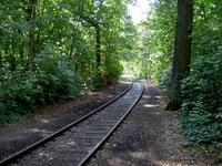 Neukölln-Mittenwalder Eisenbahn im Rudower Vogelschutzwäldchen