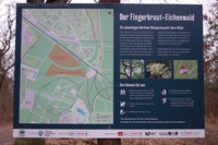 Wuhlheide Fingerkraut-Eichenwald Infotafel