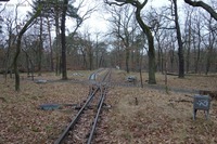 Berliner Parkeisenbahn Wuhlheide Innenring-Nordring Weiche Nord
