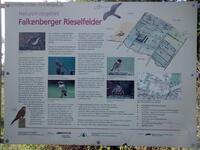 Infotafel Naturschutzgebiet Falkenberger Rieselfelder