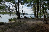 Naturbadestelle Langer See (Dahme)