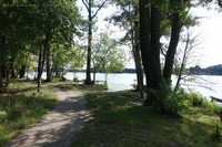 Uferweg Langer See Müggelberge