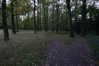Schlosspark Biesdorf Weg aus dem Vergessen