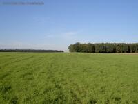 Weites Feld in Märkisch-Oderland